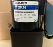 Motor DKM - Model 9SDGE-90F2P (90W - 90mm)